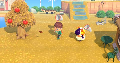 how to get maple leaves animal crossing