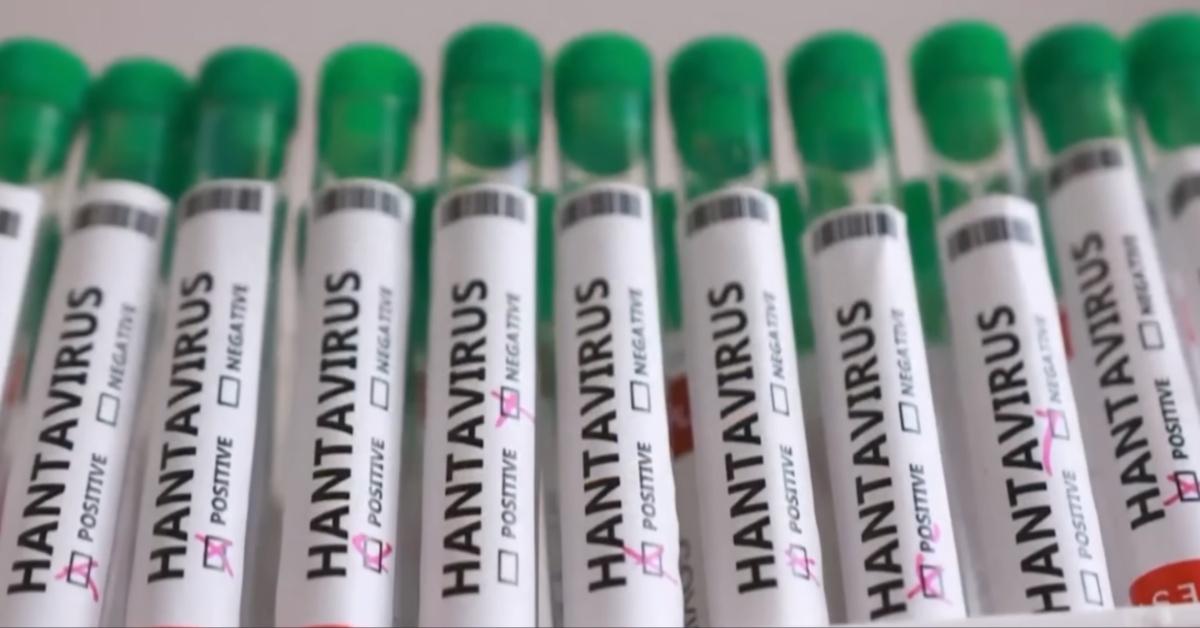 A 'Time Traveler' Predicted the Hantavirus in 2022