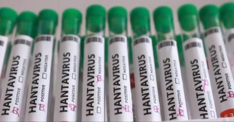 A 'Time Traveler' Predicted the Hantavirus in 2022