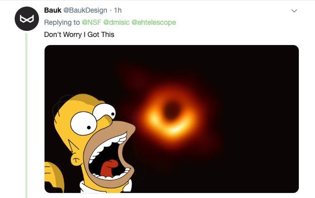 homer simpson black hole