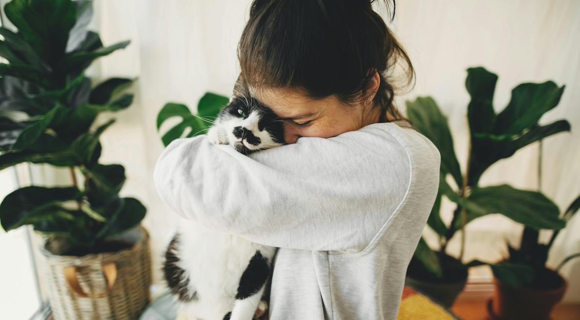 emotional suppport pet