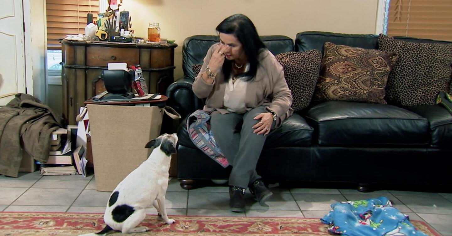 What Kind of Dog Is Bobo on 'Duck Dynasty'? Details About Kay's Pooch