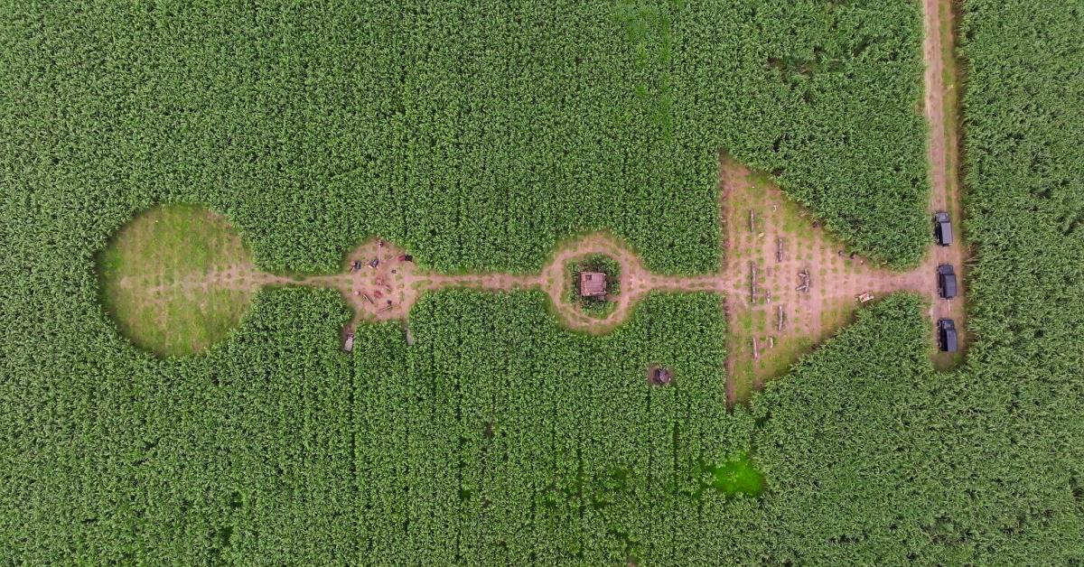 An overhead shot of the field used in the first challenge on 'The Mole' Season 2.