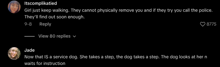 service dog barred entry
