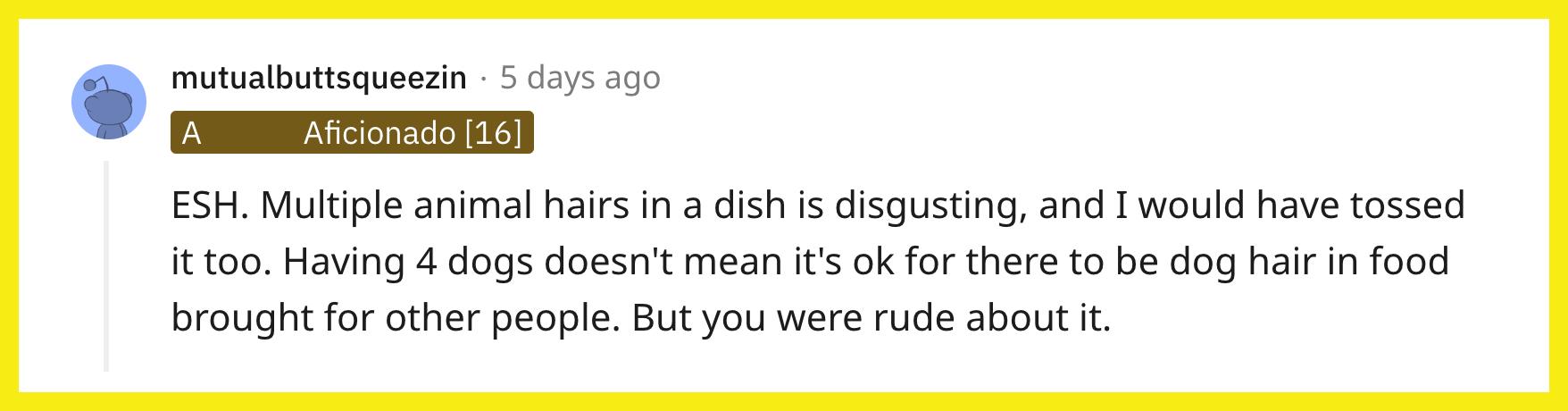 Redditor u/mutualbuttsqueezin commented, "ESH. Multiple animal hairs in a dish is disgusting, and I would have tossed it too. Having 4 dogs doesn't mean it's ok for there to be dog hair in food brought for other people. But you were rude about it."