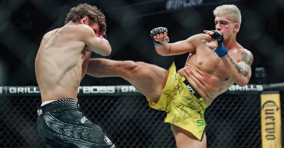 A UFC Fight