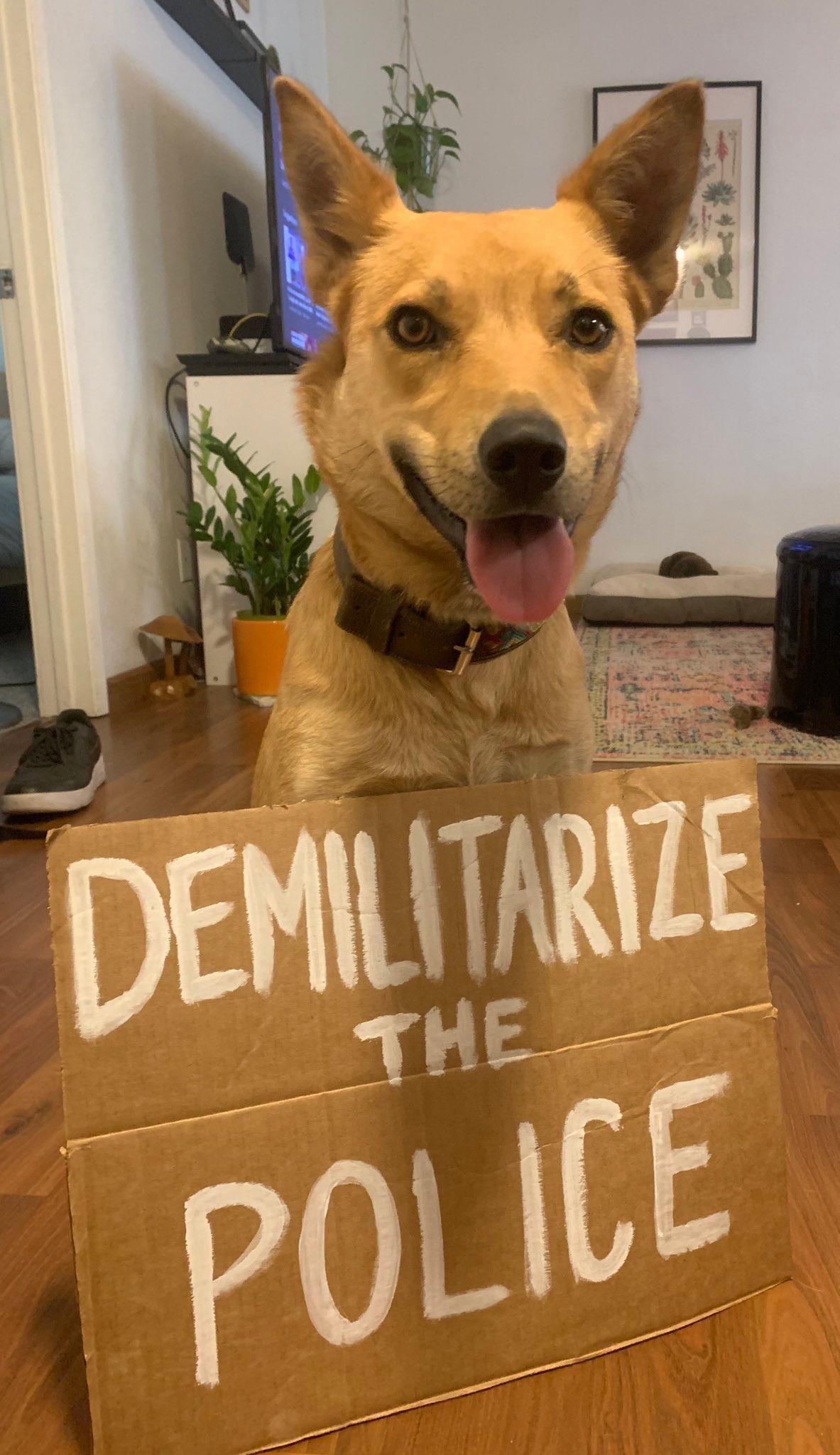 protest dog