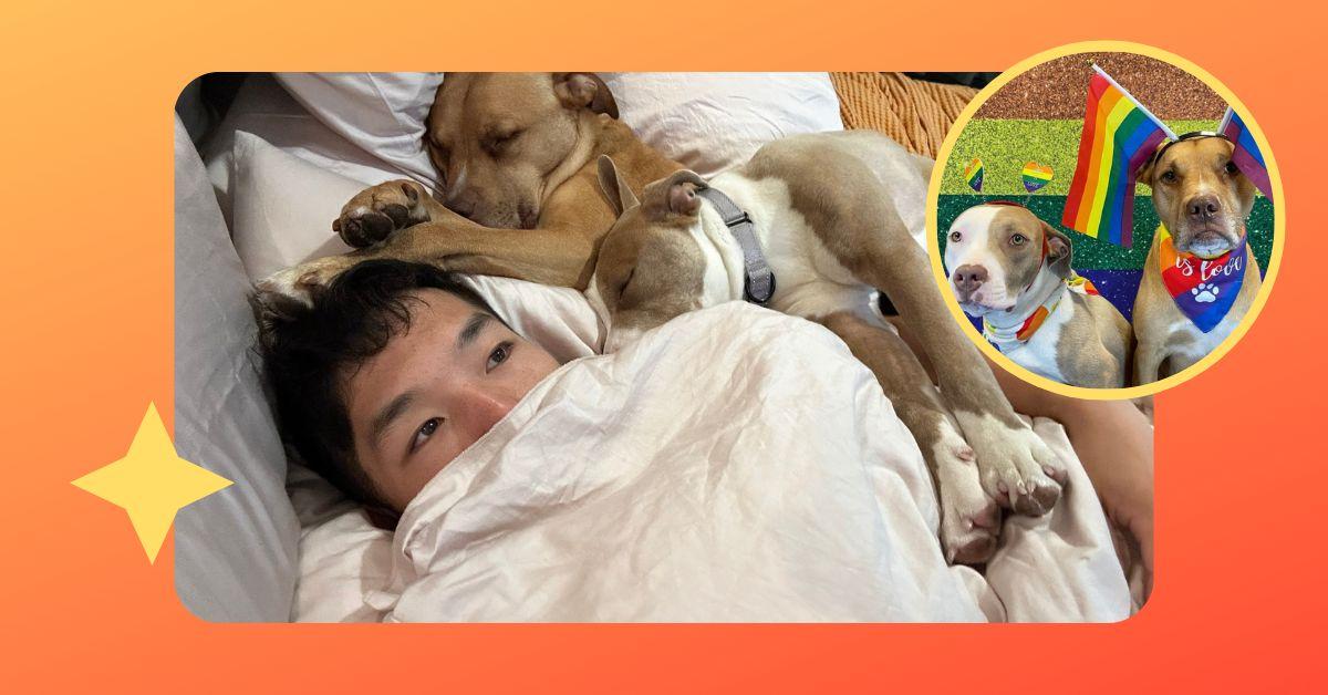 dw Jon kung posing with his dogs in bed