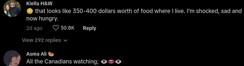 English Woman Shows What $100 of Groceries in UK Looks Like