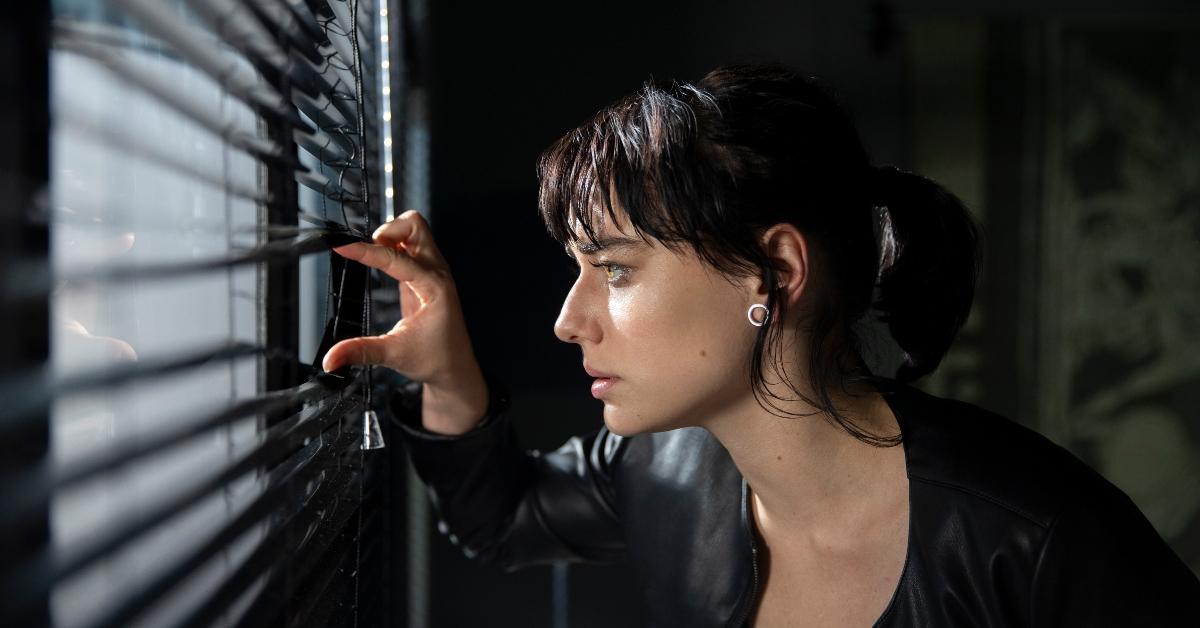 Reality Z Saison 2 'Reality Z' Season 2: Netflix Has Yet to Give the Green Light