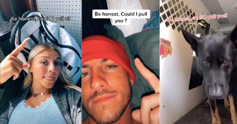 could i pull you tiktok meaning