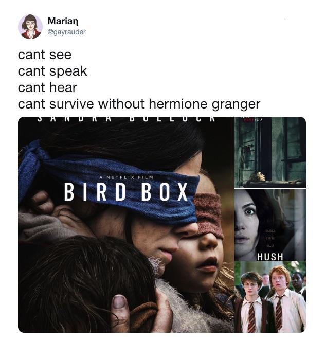 bird box hermione