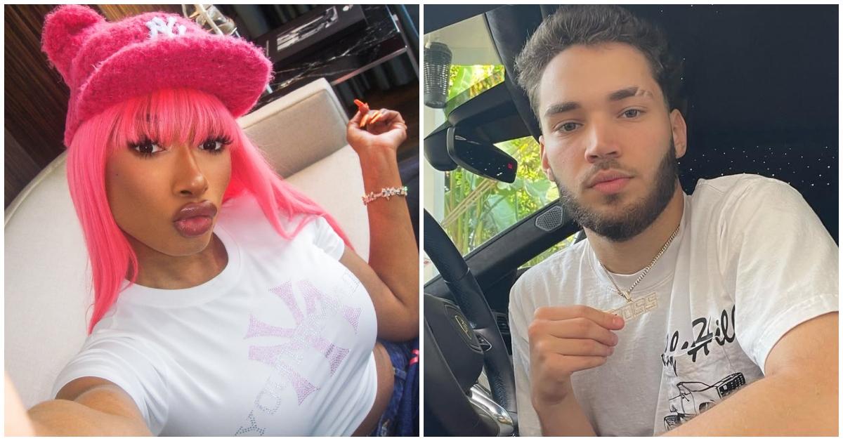 Why Did Megan Thee Stallion Sue Adin Ross? Details
