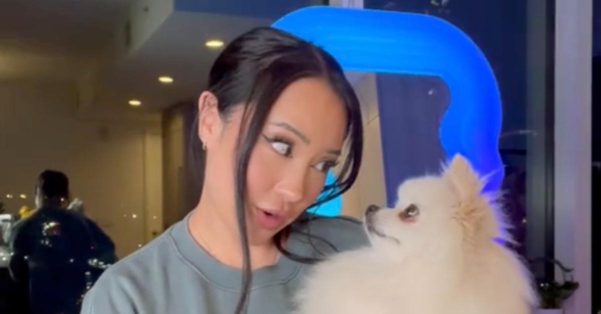 What Happened to TikTok Influencer Ashley Yi's Dog, Nimbus?