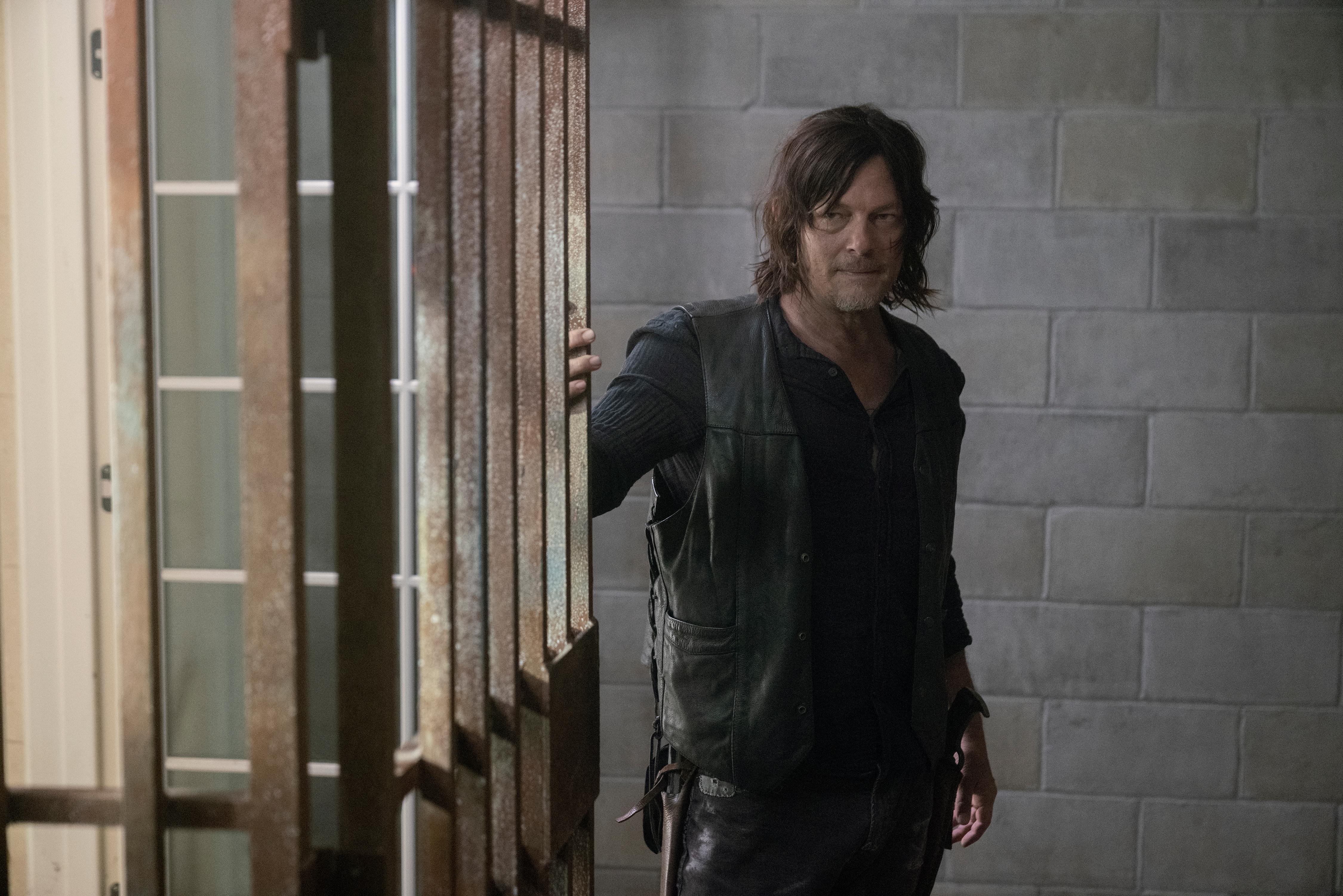 daryl the walking dead