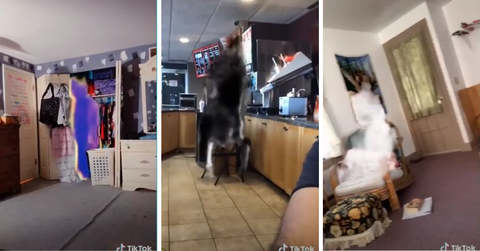 reality ripple effect tiktok