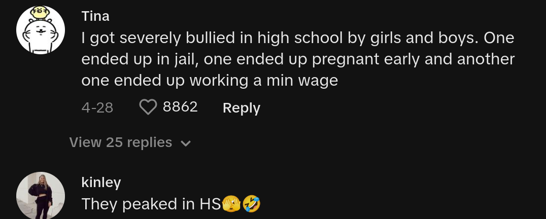 tiktoker hs bully revenge