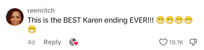 TikTok comment about Karens