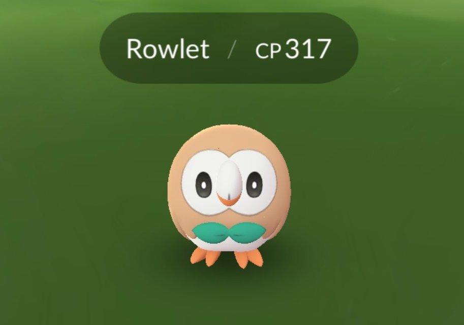 Rowlet in 'Pokémon GO'