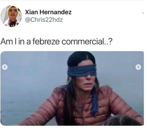 bird box febreze
