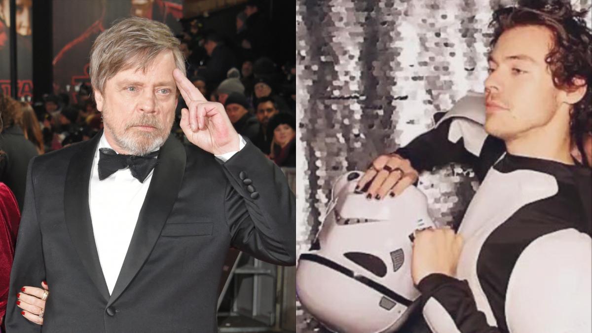 Mark Hamill Confirms Rumor About His Life Before Star Wars