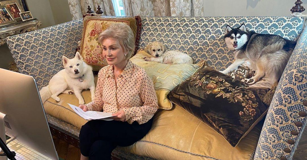 Meet Sharon Osbourne’s Dogs — All Nine of Them, Plus Two Cats