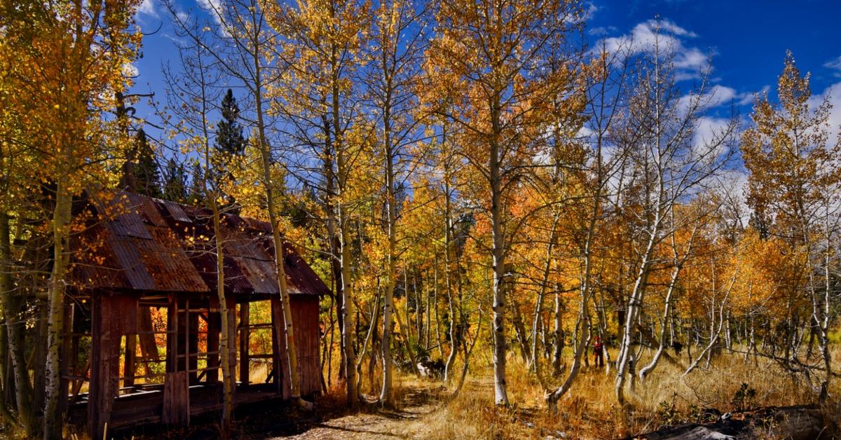 lake tahoe fall foliage