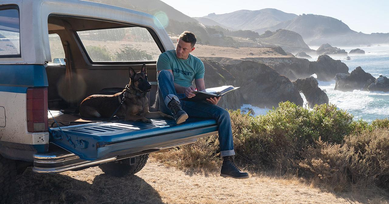 Does The Dog Die In The Movie