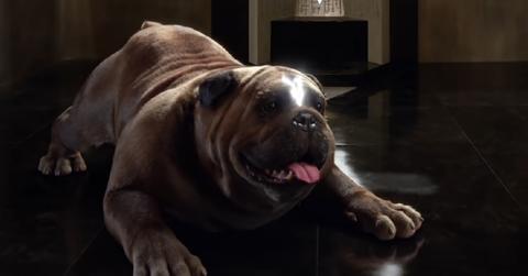 Lockjaw as he appears in 'Inhumans'