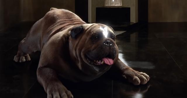 Lockjaw as he appears in 'Inhumans'