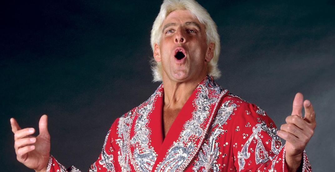 ric flair wwe cover