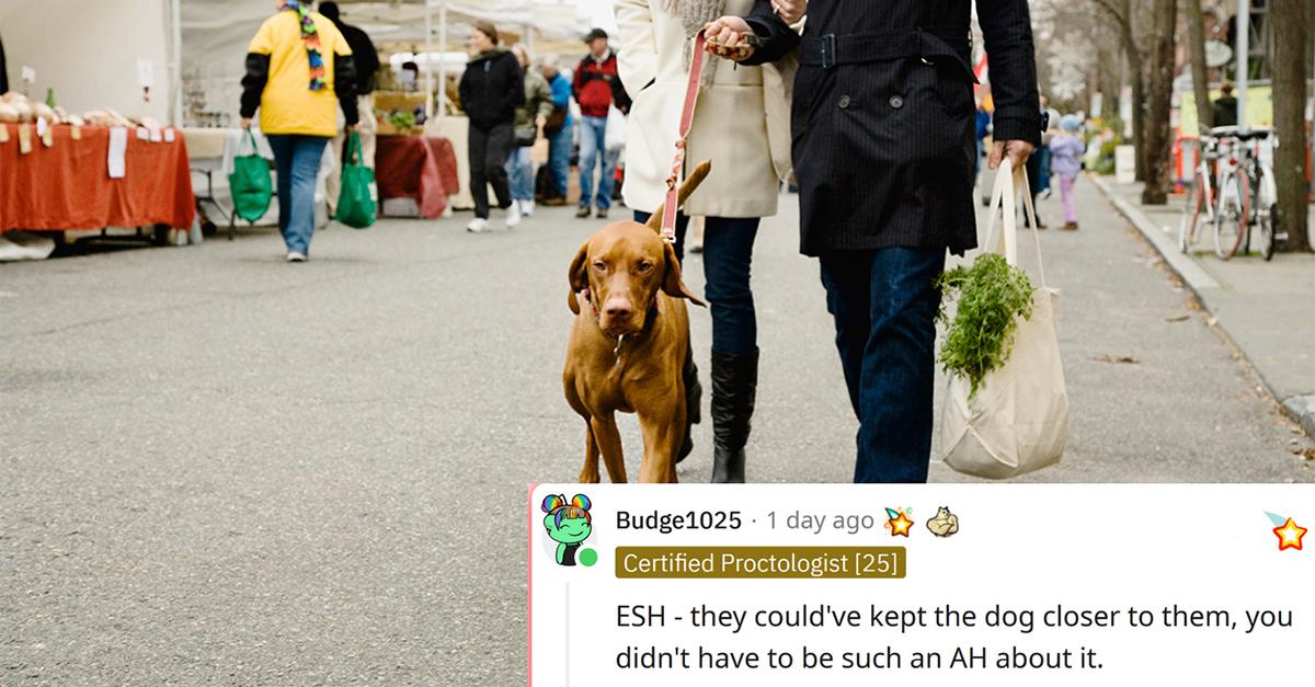 Dog being walked on street