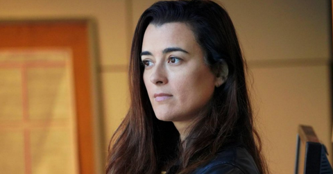 zivadavid