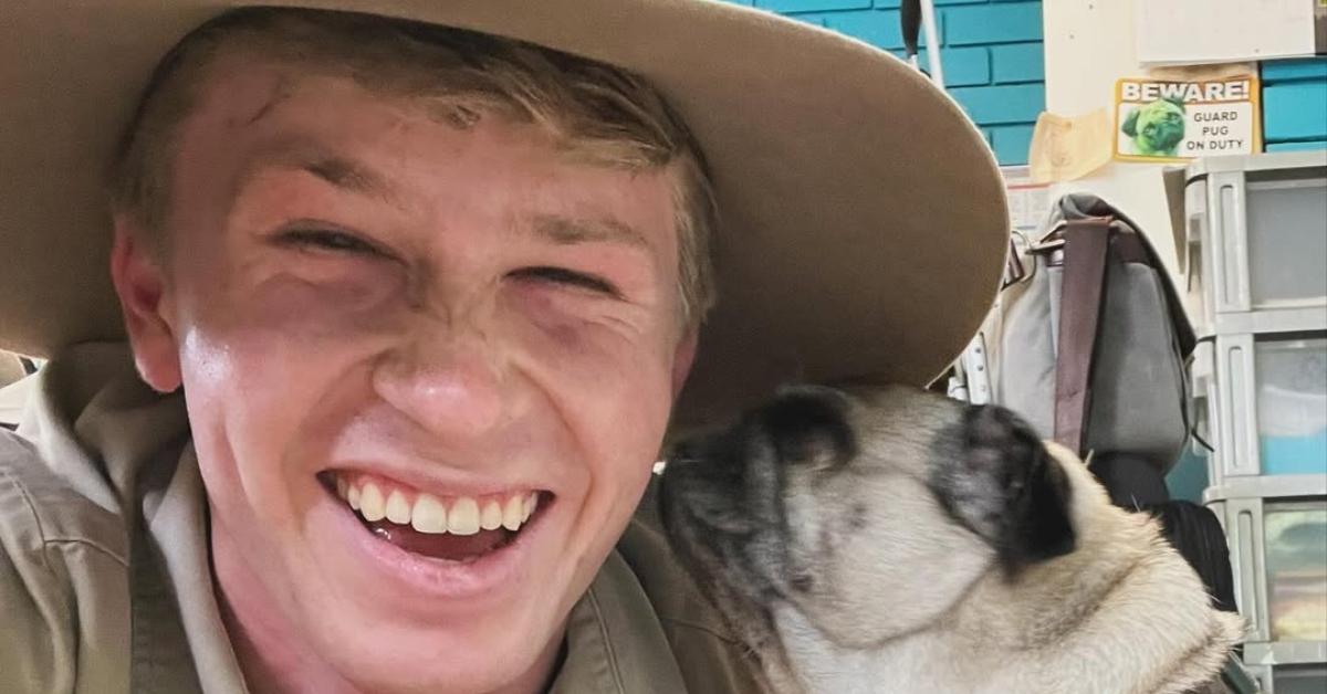 Details on What Happened to Robert Irwin's Dog Stella