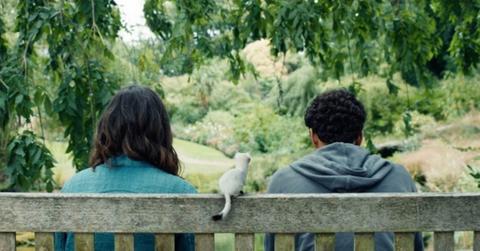 his dark materials bench