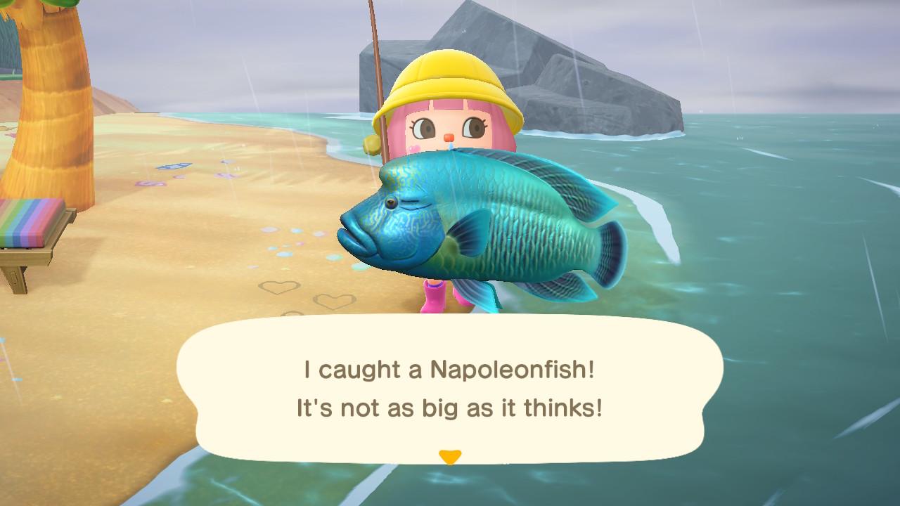 All of the Fish and Bugs Joining 'Animal Crossing New Horizons' in July