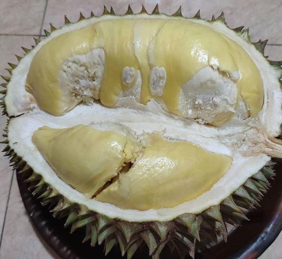 durian fruit