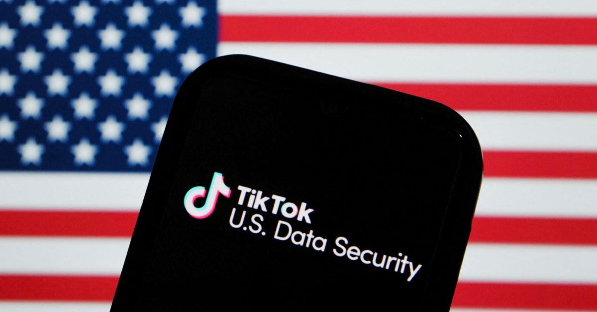 Why Is Everyone Deleting TikTok? It Over Privacy Concerns