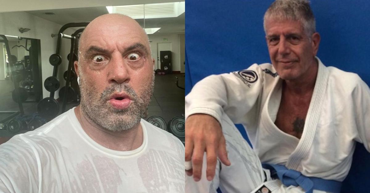 Joe Rogan and Anthony Bourdain