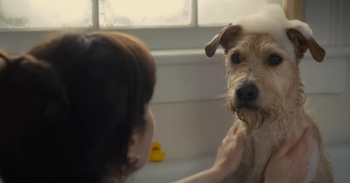 Best New Holiday Movies of 2025