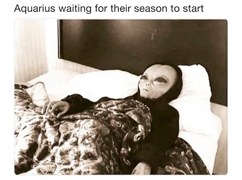 aquarius season memes