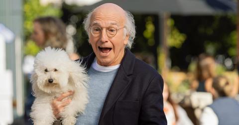 Larry David in 'Curb Your Enthusiasm' Season 11