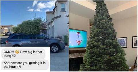 christmas tree troll header