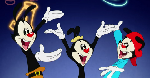 The Animaniacs