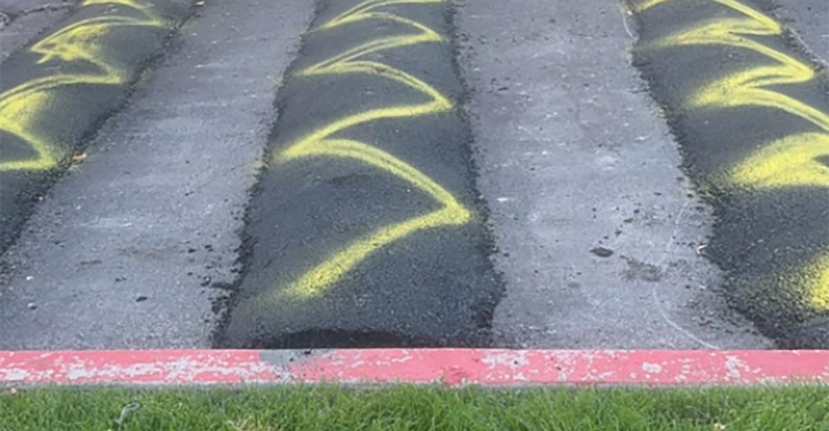 Neighbor installs DIY speed bumps TikTok