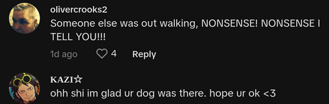 always trust your dog