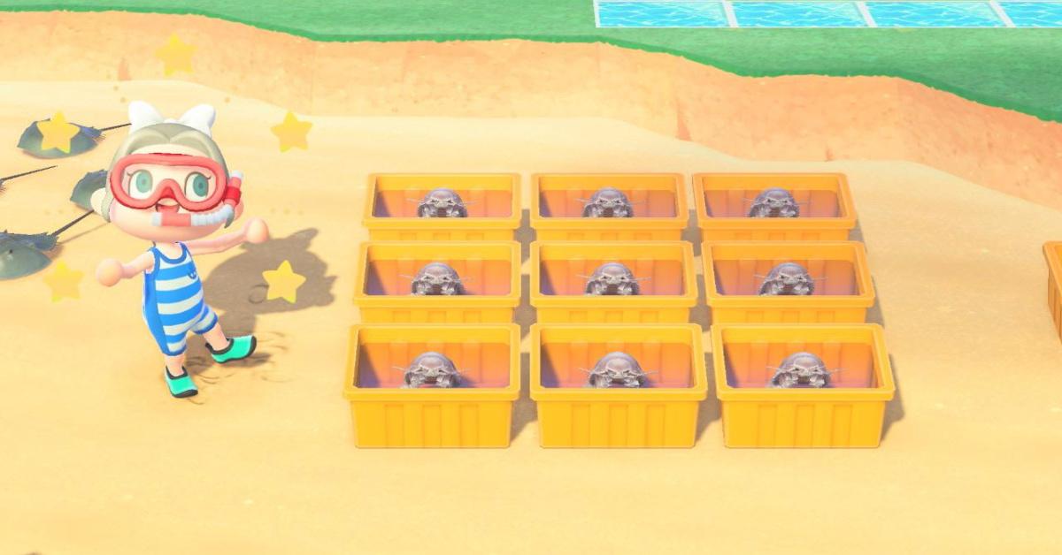How to Catch Fast Sea Creatures in ‘Animal Crossing New Horizons’