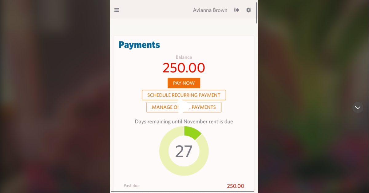 A woman checked her payment portal and it showed that she owed $250