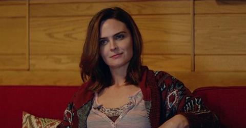 ‘Animal Kingdom’