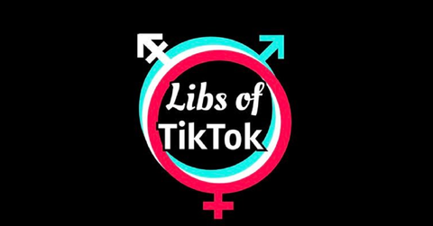 Libs of TikTok Logo